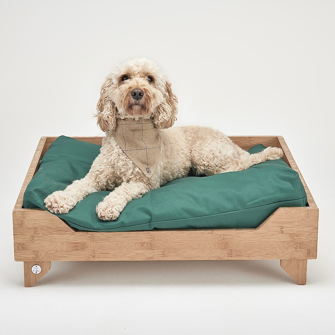 2FF31A31-C1C1-4CA2-BA8B-A13B2DADD691_1_201_a