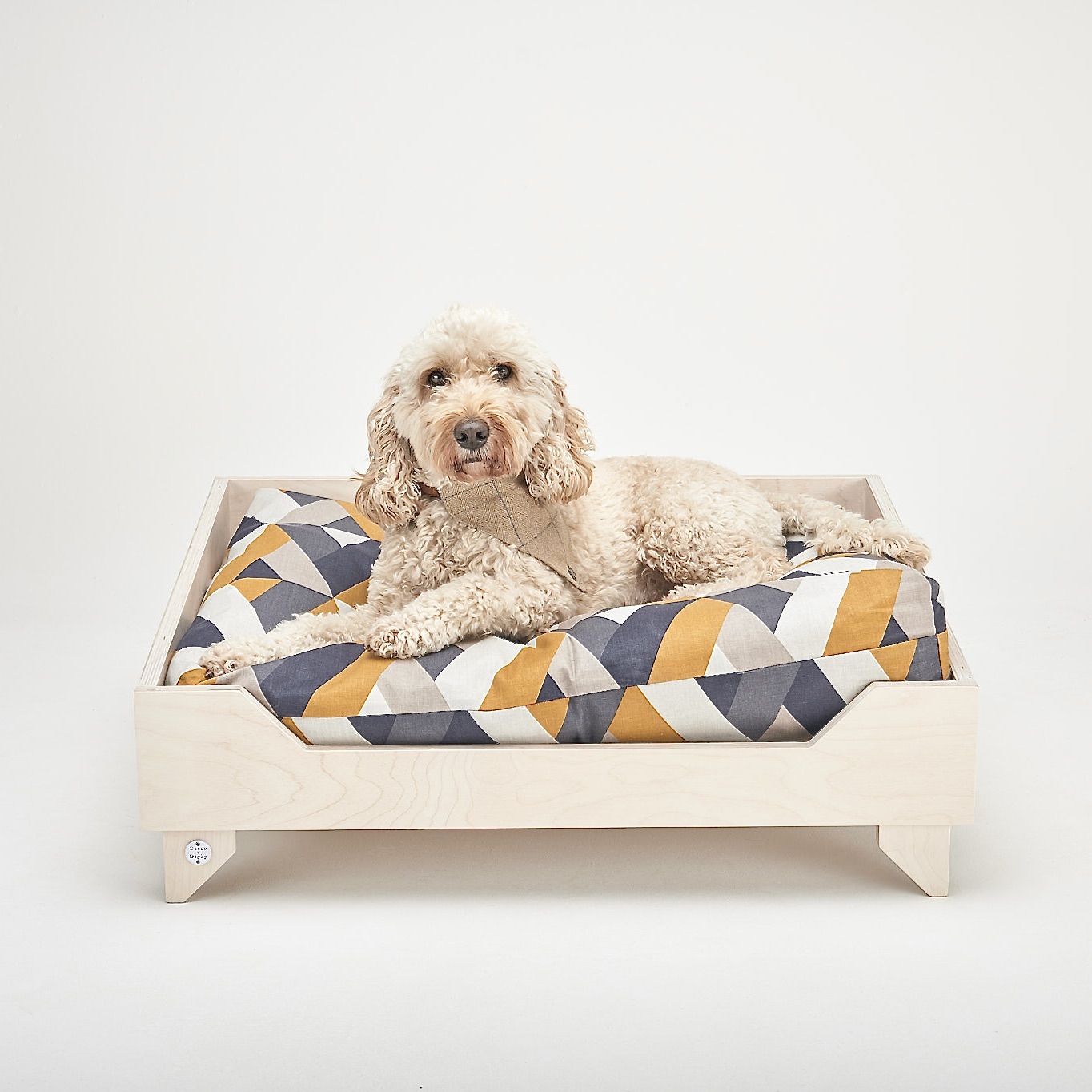 F0276458-761A-4226-8E44-D7EFD59F5EB8_1_201_a