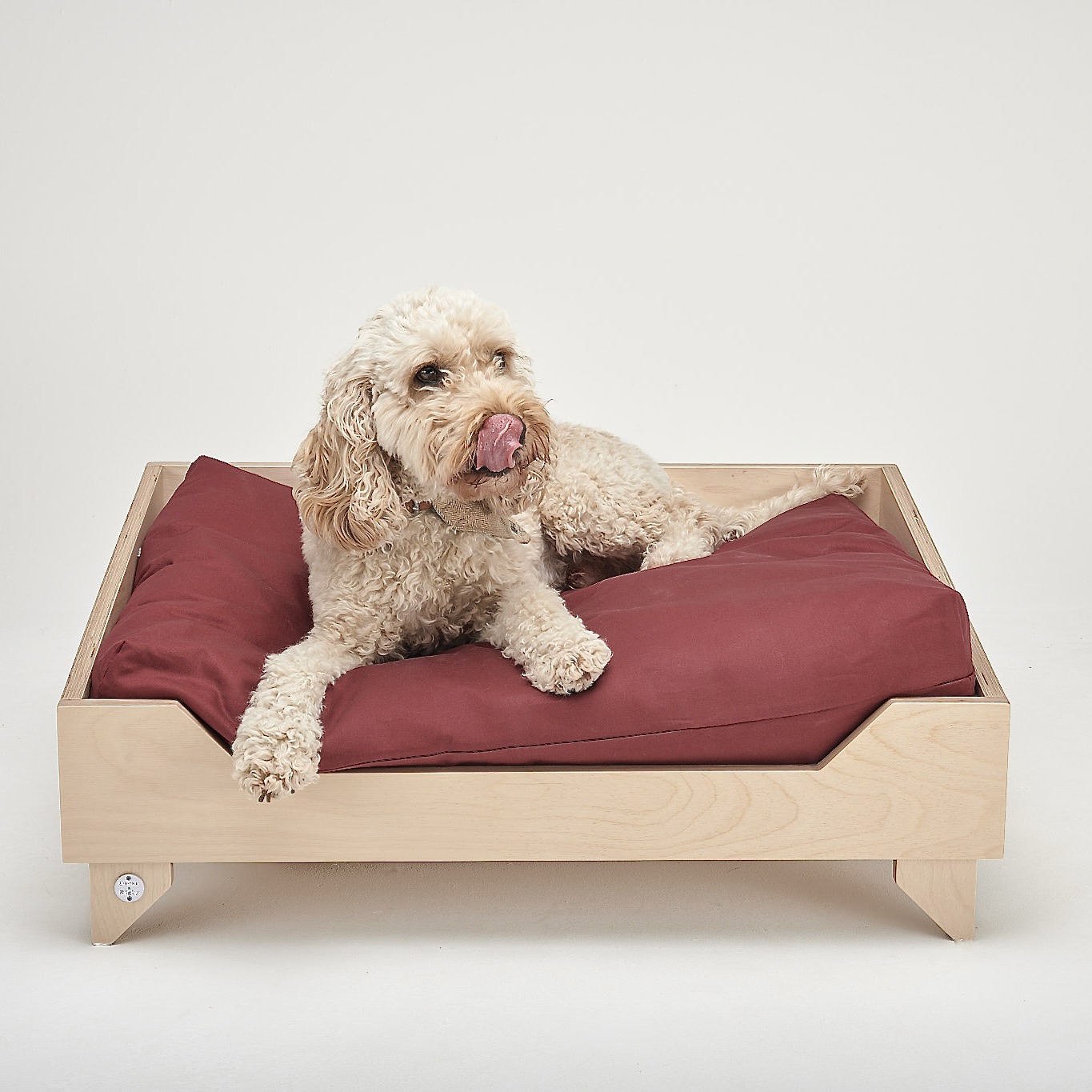 FC8771C1-623F-478A-B35D-CCEC9F52BD91_1_201_a