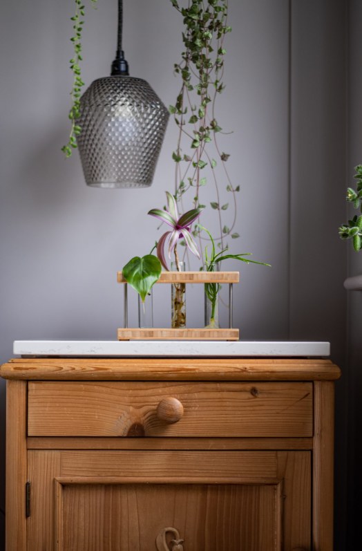Bamboo Propagation Station
