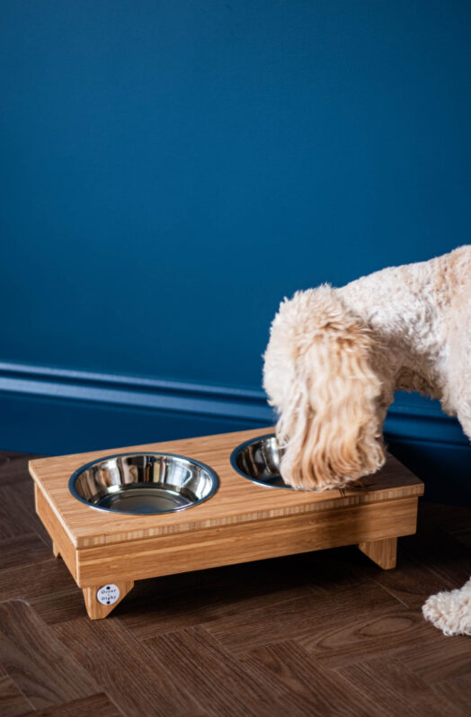 Bamboo dog bowl stand