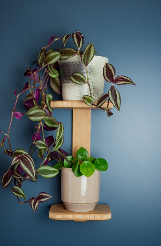 Bamboo Double Plant Shelf